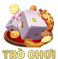 Email Hỗ Trợ